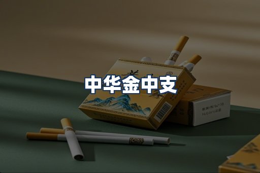 中华金中支